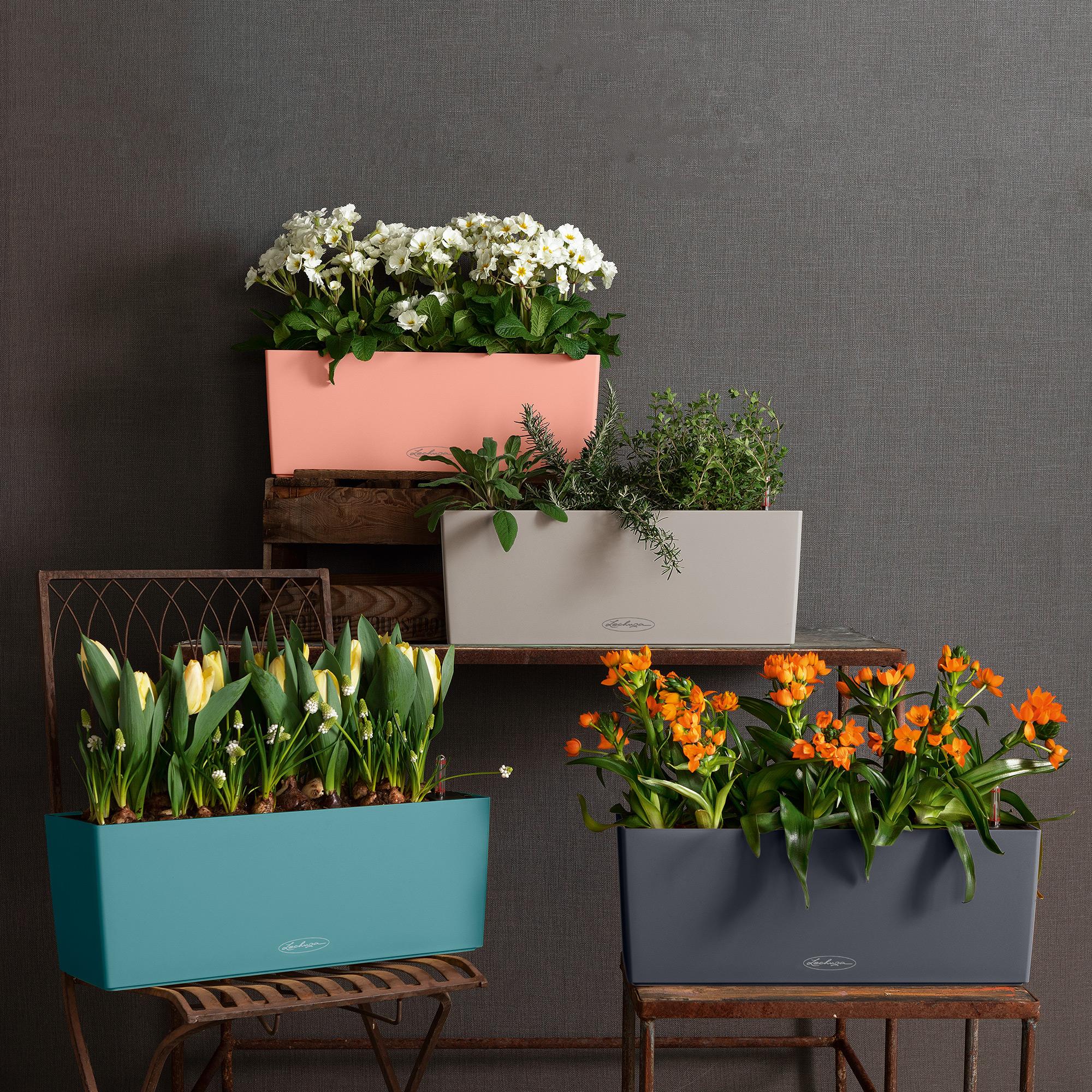 le_balconera-color50_product_addi_01
